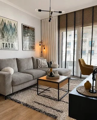 Oturma odası; ahşap zemin, doğal ışık, modern stil