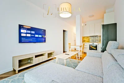 Wohnzimmer; tageslicht, moderner stil, holzboden, küchengeräte