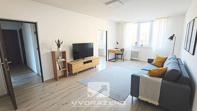 Salon; światło dzienne, podłoga drewniana