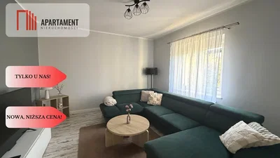 Living room; natural light, modern style