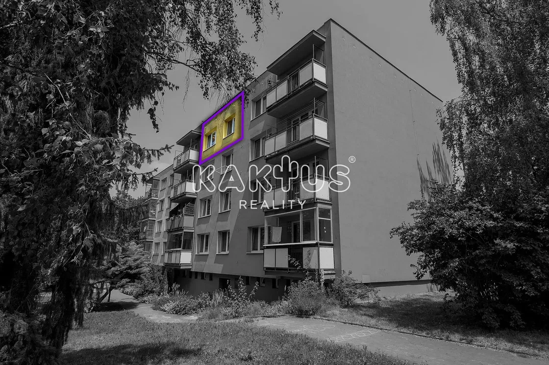 House and surroundings