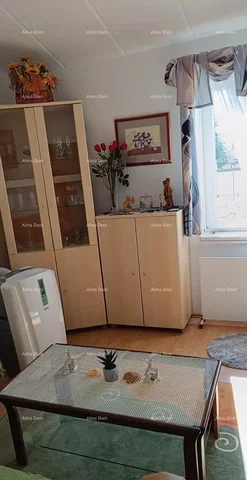 Living room; natural light, wood floor