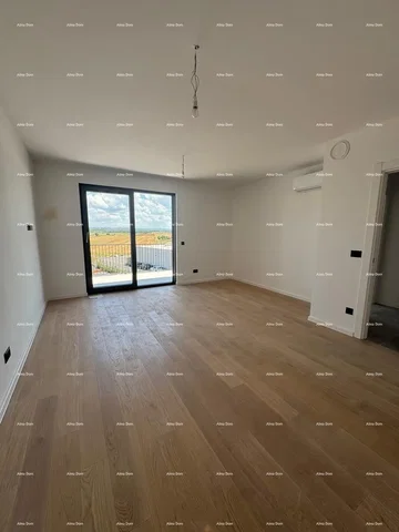 Living room; wood floor, natural light, view