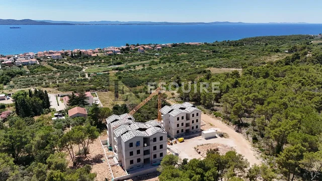House and surroundings; view, natural light