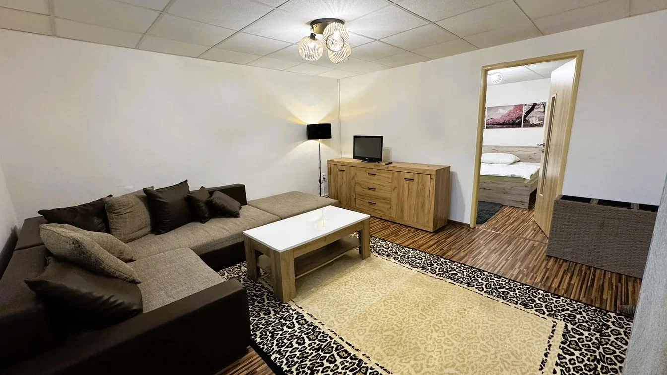 Wohnzimmer; holzboden, tageslicht