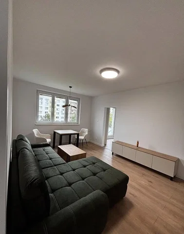 Salon; podłoga drewniana, światło dzienne