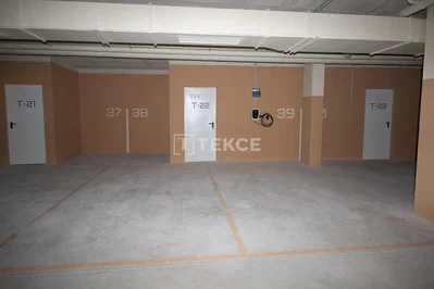 Cellar