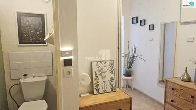 Toilet; wood floor, natural light, modern style