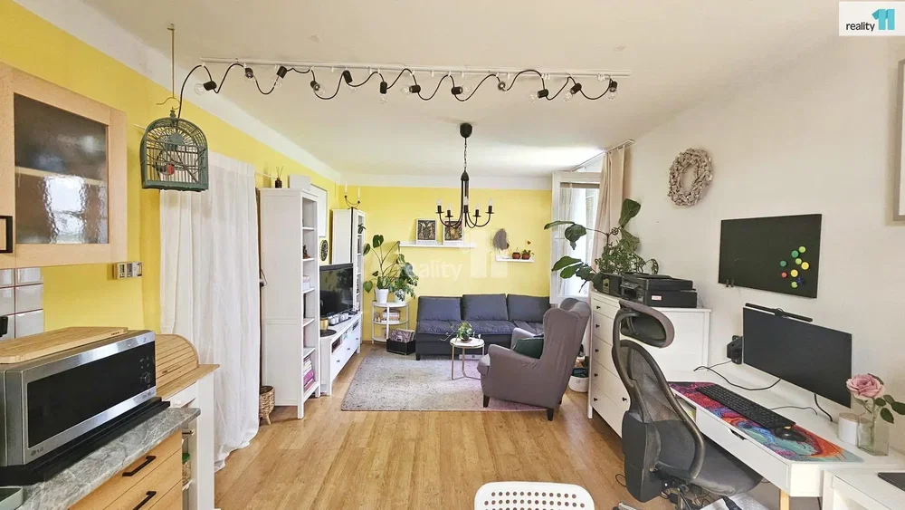 Salon; parquet, lumière naturelle, style moderne, électroménager