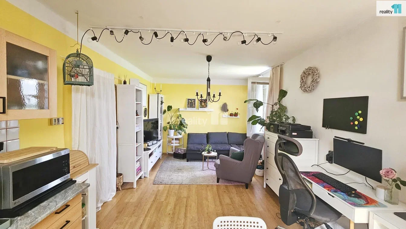 Salon; parquet, lumière naturelle, style moderne, électroménager