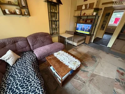 Wohnzimmer; tageslicht, rustikaler stil