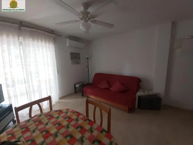 Living room; natural light, wood floor