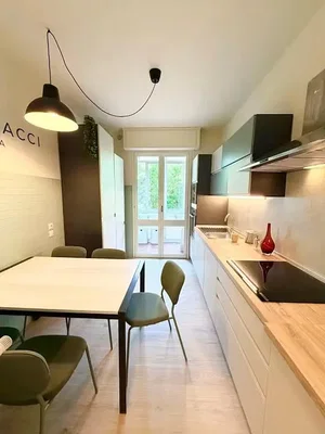 Kitchen; kitchen appliances, wood floor, natural light, modern style