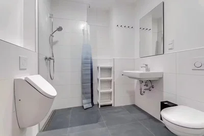 Toilet; tegelvloer, gerenoveerd, natuurlijk licht
