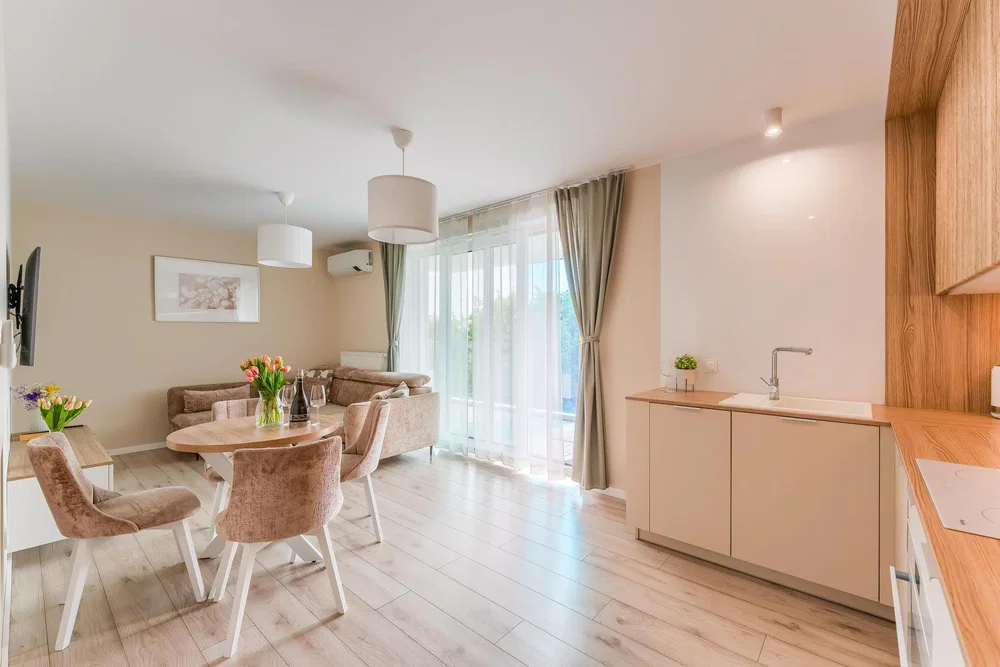 Salon; lumière naturelle, parquet, style moderne