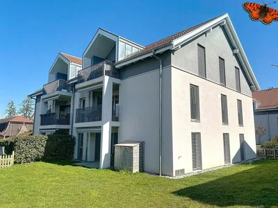 Casa y alrededores