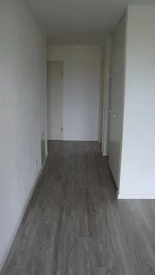 Diğer
