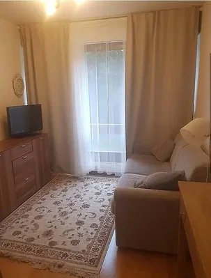 Wohnzimmer; holzboden, tageslicht