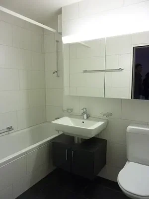 Kupaonica; pločice, renoviran, prirodno svjetlo