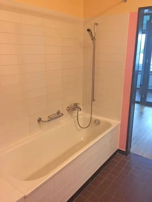 Bathroom; tile floor, natural light
