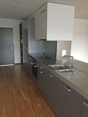 Kitchen; kitchen appliances, wood floor, natural light