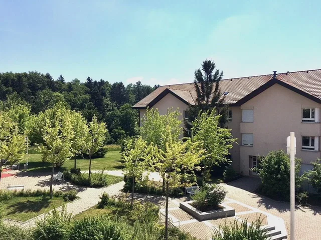 House and surroundings; natural light, view