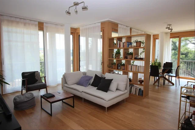 Living room; wood floor, natural light, modern style
