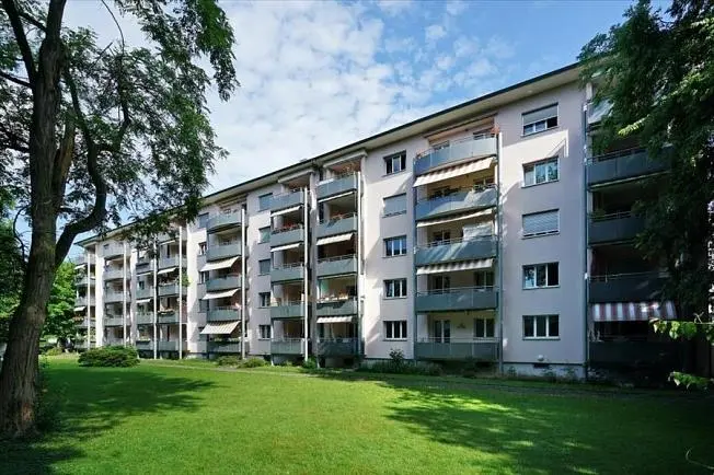 House and surroundings