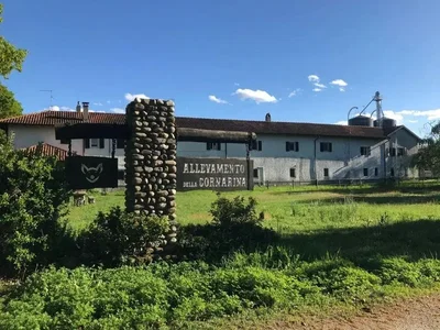 Casa e dintorni