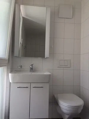 Toilette; fliesenboden, tageslicht