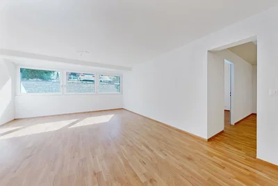 Wohnzimmer; holzboden, tageslicht