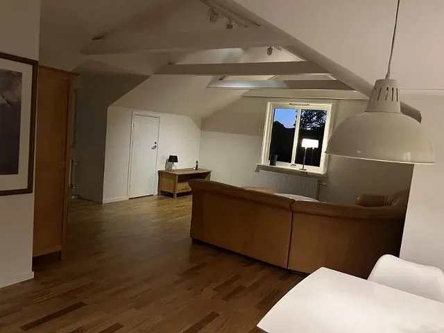 Wohnzimmer; holzboden, tageslicht