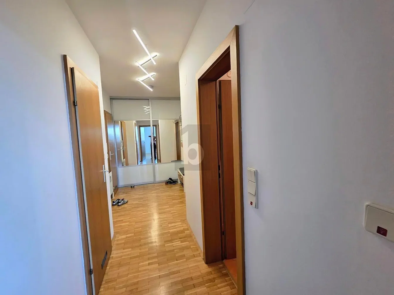 Salón; suelo de madera, luz natural