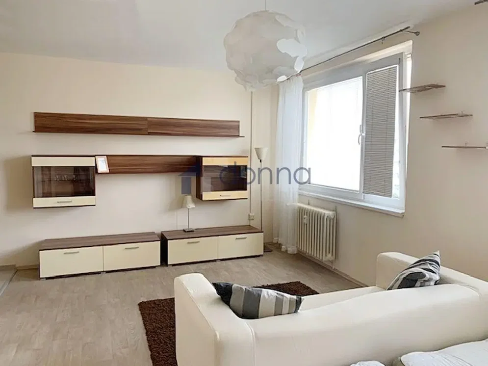 Salón; luz natural, estilo moderno