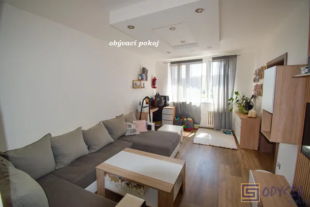 Living room; natural light, wood floor