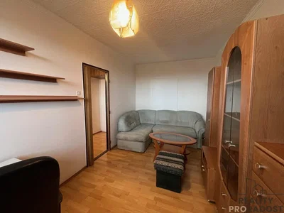 Wohnzimmer; holzboden, tageslicht