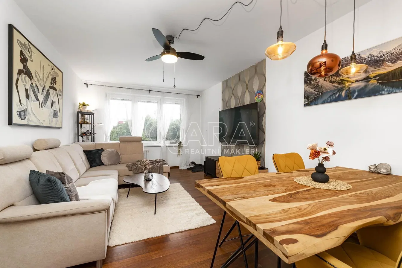 Living room; wood floor, natural light, modern style