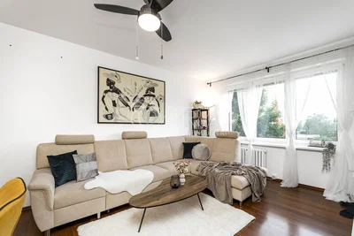 Living room; natural light, modern style, wood floor
