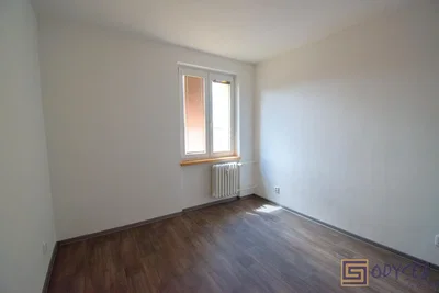 Other; wood floor, natural light