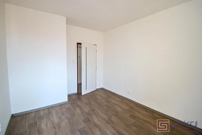 Other; wood floor, natural light