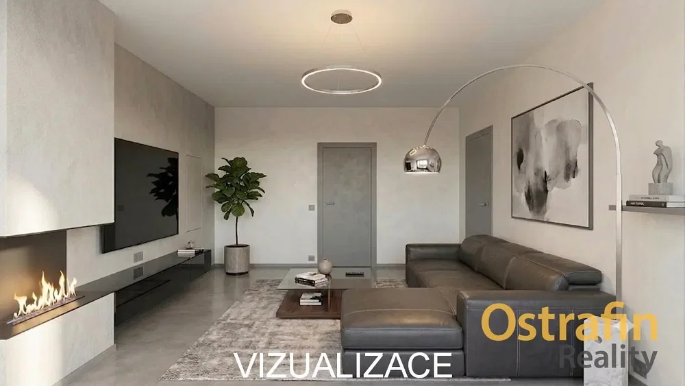 Living room; fireplace, modern style, natural light