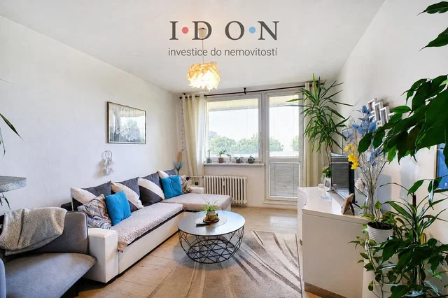Living room; view, natural light, modern style