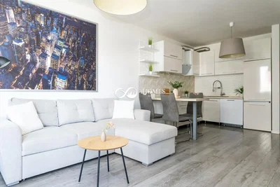 Salon; électroménager, parquet, lumière naturelle, style moderne