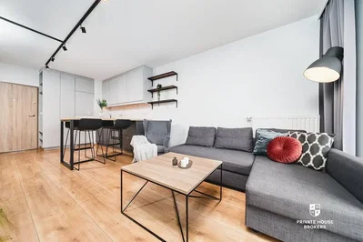 Wohnzimmer; holzboden, tageslicht, moderner stil