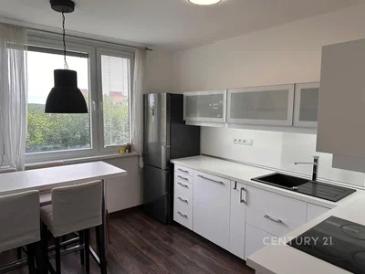 Keuken; keukenapparatuur, natuurlijk licht, moderne stijl