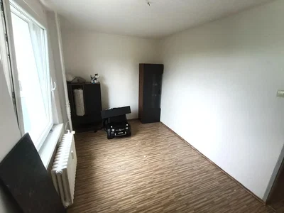 Ostatní; dřevěná podlaha, přirozené světlo