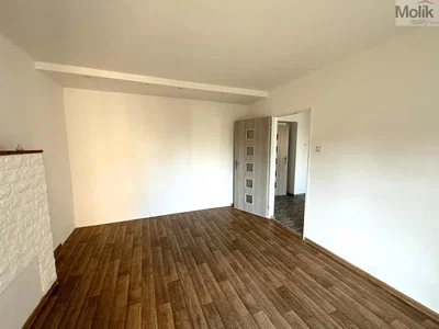Wohnzimmer; holzboden, tageslicht