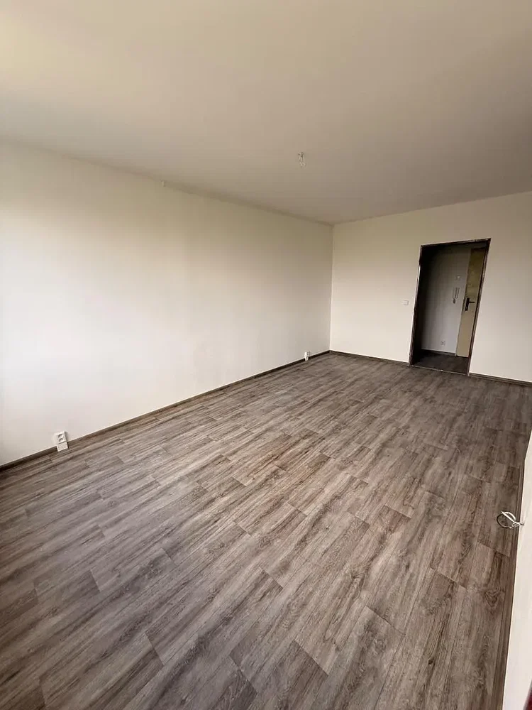 Ostatní; dřevěná podlaha, přirozené světlo