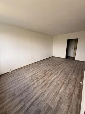 Ostatní; dřevěná podlaha, přirozené světlo