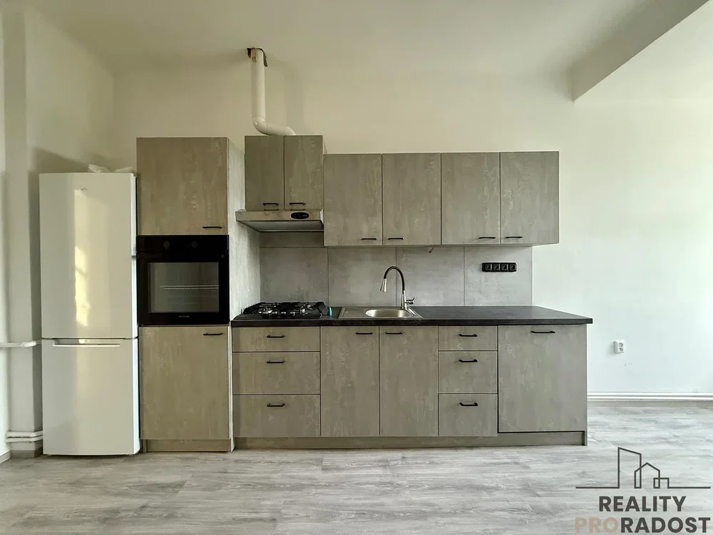 Кухиња; кухињски апарати, природно светло, реновиран